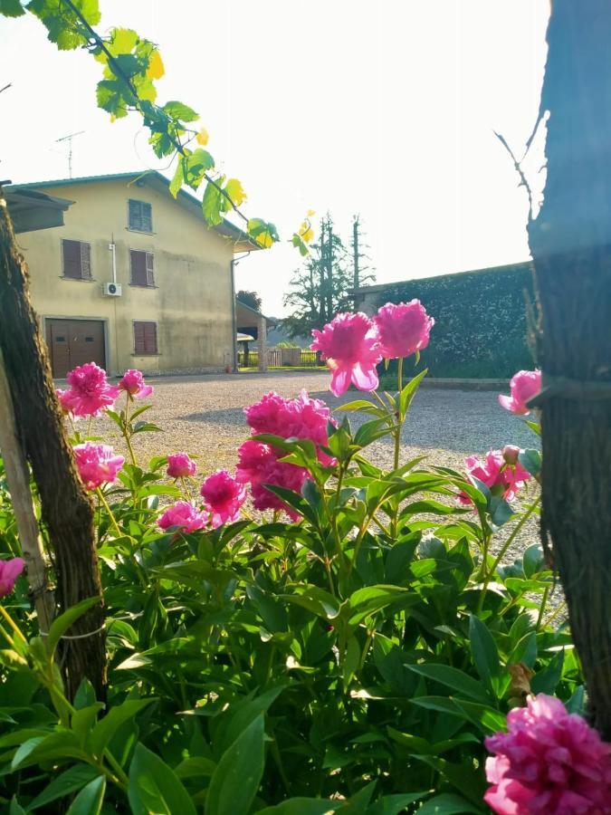 Corte Ohana Monteforte dʼAlpone Exteriér fotografie