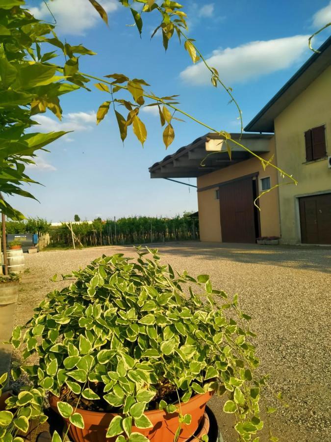 Corte Ohana Monteforte dʼAlpone Exteriér fotografie