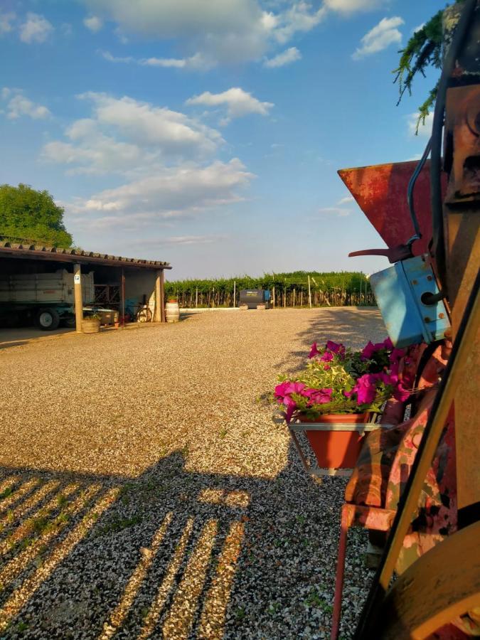 Corte Ohana Monteforte dʼAlpone Exteriér fotografie