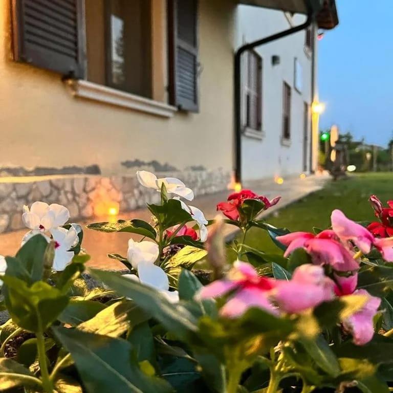 Corte Ohana Monteforte dʼAlpone Exteriér fotografie